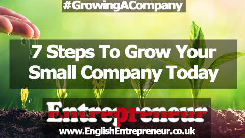 7 Steps To Grow Your Small Company Today