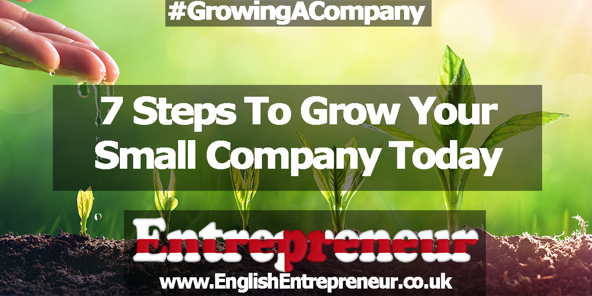 7 steps to grow your small companytoday